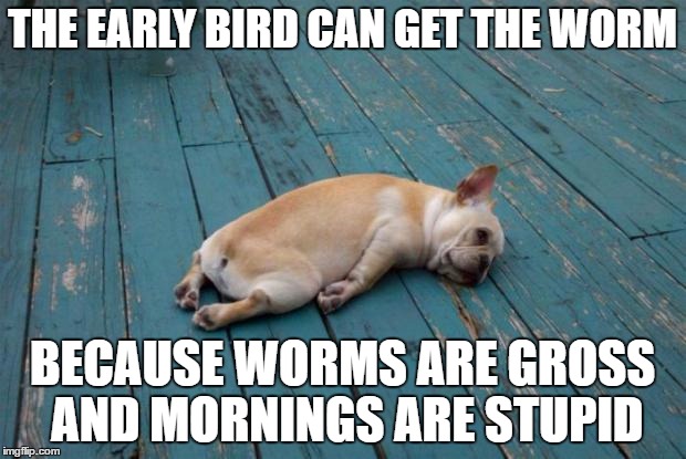 Tired dog |  THE EARLY BIRD CAN GET THE WORM; BECAUSE WORMS ARE GROSS AND MORNINGS ARE STUPID | image tagged in tired dog | made w/ Imgflip meme maker