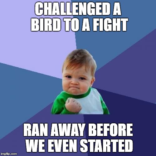 Success Kid | CHALLENGED A BIRD TO A FIGHT; RAN AWAY BEFORE WE EVEN STARTED | image tagged in memes,success kid | made w/ Imgflip meme maker