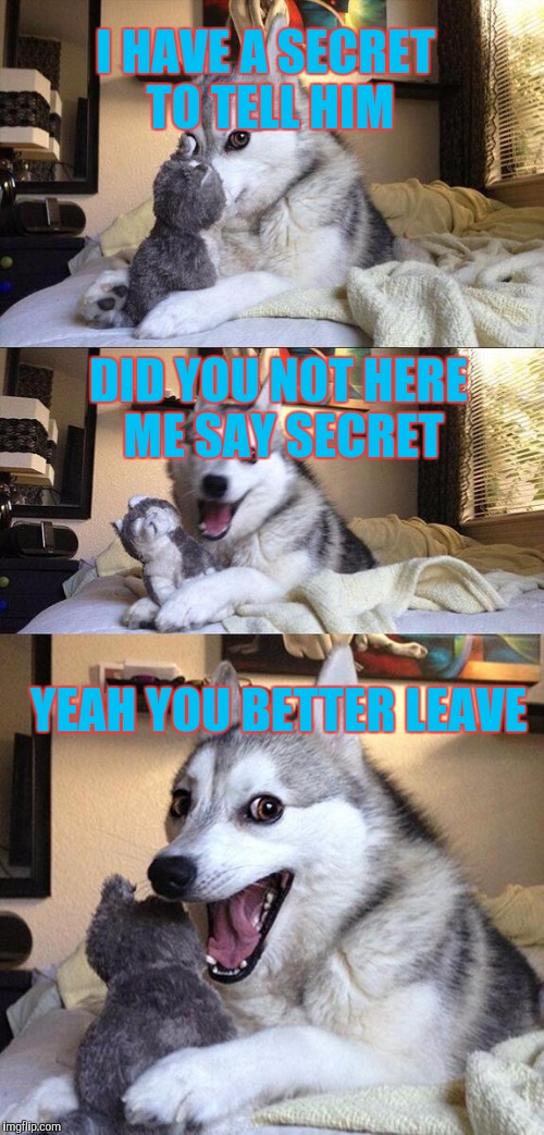 Bad Pun Dog Meme | I HAVE A SECRET TO TELL HIM; DID YOU NOT HERE ME SAY SECRET; YEAH YOU BETTER LEAVE | image tagged in memes,bad pun dog | made w/ Imgflip meme maker