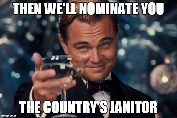 Leonardo Dicaprio Cheers Meme | THEN WE'LL NOMINATE YOU THE COUNTRY'S JANITOR | image tagged in memes,leonardo dicaprio cheers | made w/ Imgflip meme maker