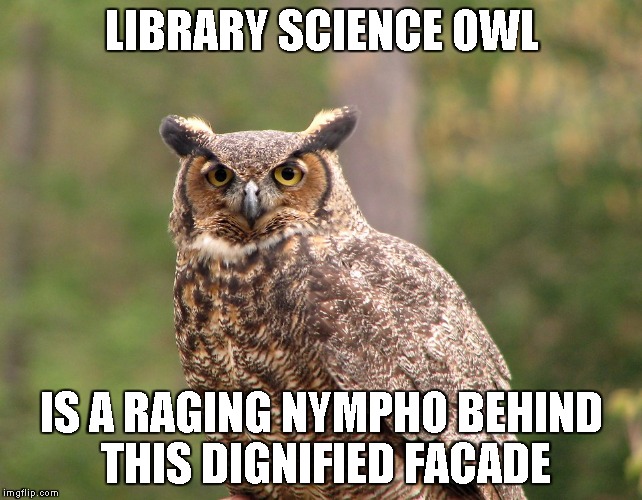 SECRET NYMPHO LIBRARIAN | LIBRARY SCIENCE OWL; IS A RAGING NYMPHO BEHIND THIS DIGNIFIED FACADE | image tagged in librarian,library,science,libraries,lis,information | made w/ Imgflip meme maker
