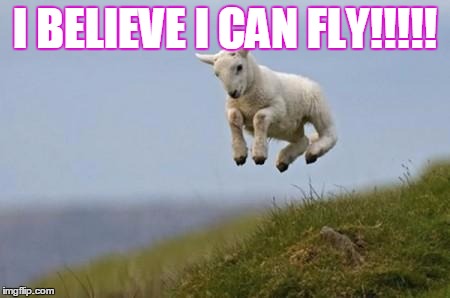 Daring goat | I BELIEVE I CAN FLY!!!!! | image tagged in daring goat | made w/ Imgflip meme maker