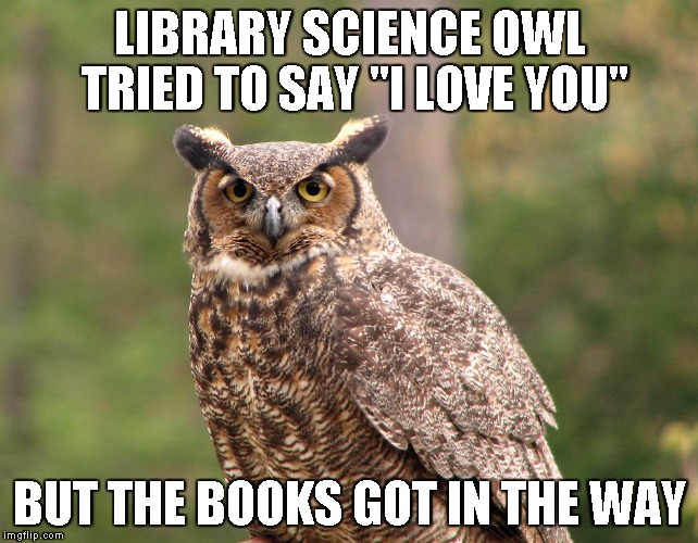 BOOKS GOT IN THE WAY | LIBRARY SCIENCE OWL TRIED TO SAY "I LOVE YOU"; BUT THE BOOKS GOT IN THE WAY | image tagged in librarian,library,libraries,science,lis,information | made w/ Imgflip meme maker