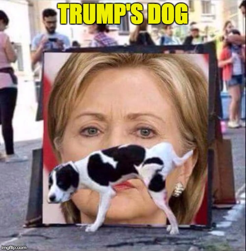 Dog Peeing On HIllary Clinton | TRUMP'S DOG | image tagged in dog peeing on hillary clinton | made w/ Imgflip meme maker