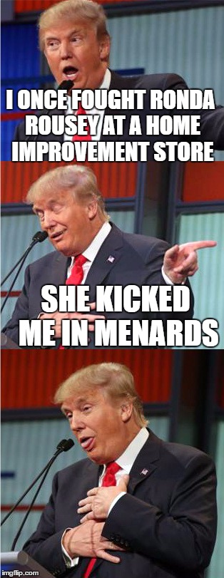 Bad Pun Trump Punished | I ONCE FOUGHT RONDA ROUSEY AT A HOME IMPROVEMENT STORE; SHE KICKED ME IN MENARDS | image tagged in bad pun trump,menards,ronda rousey | made w/ Imgflip meme maker