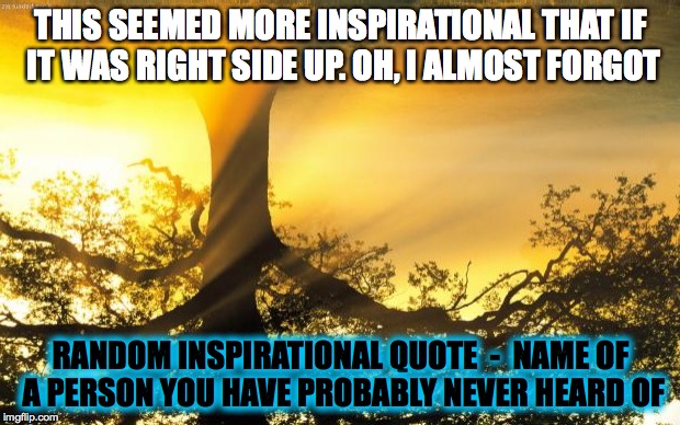 nature | THIS SEEMED MORE INSPIRATIONAL THAT IF IT WAS RIGHT SIDE UP. OH, I ALMOST FORGOT; RANDOM INSPIRATIONAL QUOTE  -  NAME OF A PERSON YOU HAVE PROBABLY NEVER HEARD OF | image tagged in memes,nature,quotes | made w/ Imgflip meme maker