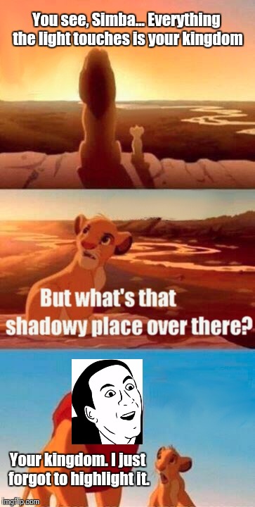 Gettin' reeeaaal sick of your sh**, Simba. | You see, Simba... Everything the light touches is your kingdom; Your kingdom. I just forgot to highlight it. | image tagged in memes,simba shadowy place,you don't say | made w/ Imgflip meme maker