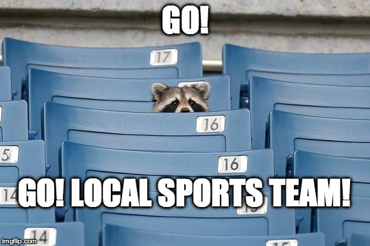 GO LOCAL SPORTS TEAM | GO! GO! LOCAL SPORTS TEAM! | image tagged in go sports,local sports team,racoon sports fan | made w/ Imgflip meme maker