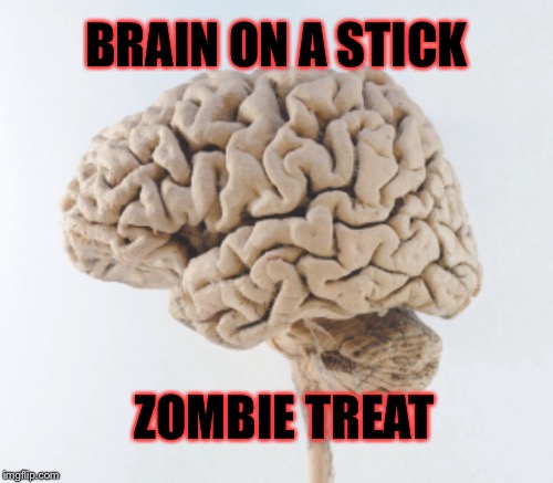 GUARANTEED TO STOP THEIR NAGGING | BRAIN ON A STICK; ZOMBIE TREAT | image tagged in zombies,brain | made w/ Imgflip meme maker