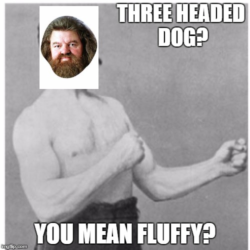 Overly Manly Man Meme | THREE HEADED DOG? YOU MEAN FLUFFY? | image tagged in memes,overly manly man | made w/ Imgflip meme maker