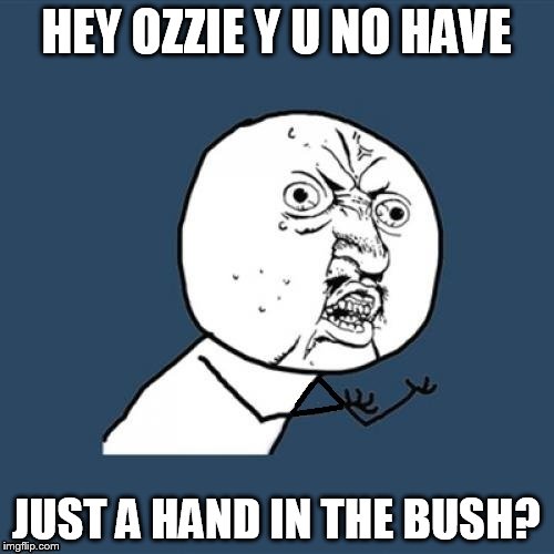 Y U NO FIX ME? | HEY OZZIE Y U NO HAVE; JUST A HAND IN THE BUSH? | image tagged in y u no fix me | made w/ Imgflip meme maker