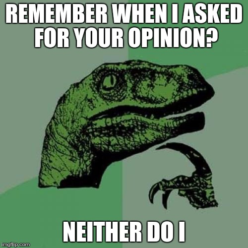 Philosoraptor Meme | REMEMBER WHEN I ASKED FOR YOUR OPINION? NEITHER DO I | image tagged in memes,philosoraptor | made w/ Imgflip meme maker