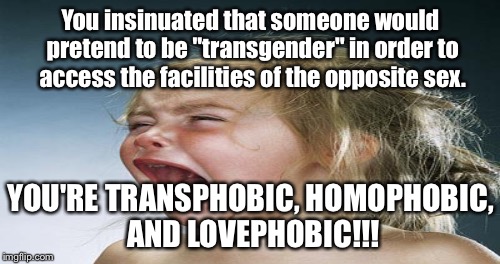 You insinuated that someone would pretend to be "transgender" in order to access the facilities of the opposite sex. YOU'RE TRANSPHOBIC, HOM | made w/ Imgflip meme maker