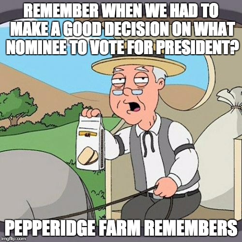 Pepperidge Farm Remembers | REMEMBER WHEN WE HAD TO MAKE A GOOD DECISION ON WHAT NOMINEE TO VOTE FOR PRESIDENT? PEPPERIDGE FARM REMEMBERS | image tagged in memes,pepperidge farm remembers | made w/ Imgflip meme maker