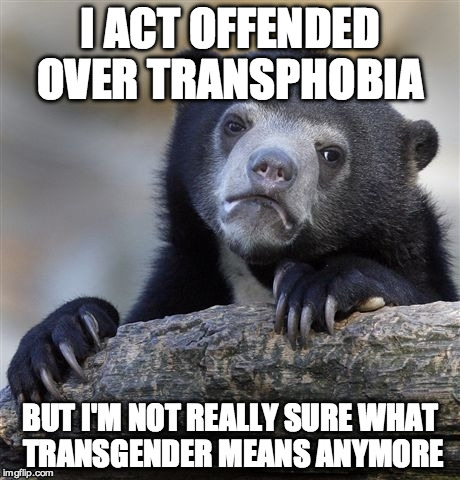 Confession Bear | I ACT OFFENDED OVER TRANSPHOBIA; BUT I'M NOT REALLY SURE WHAT TRANSGENDER MEANS ANYMORE | image tagged in memes,confession bear | made w/ Imgflip meme maker