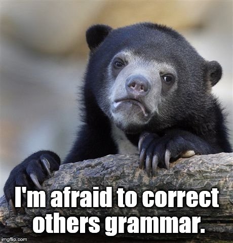 Confession Bear Meme | I'm afraid to correct others grammar. | image tagged in memes,confession bear | made w/ Imgflip meme maker