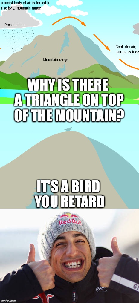 WHY IS THERE A TRIANGLE ON TOP OF THE MOUNTAIN? IT'S A BIRD YOU RETARD | image tagged in funny | made w/ Imgflip meme maker