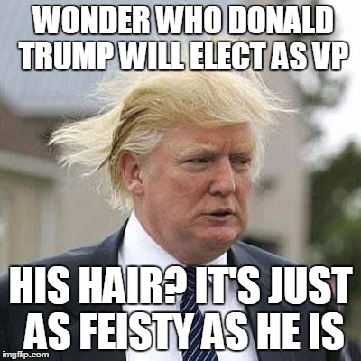 Donald Trump | WONDER WHO DONALD TRUMP WILL ELECT AS VP; HIS HAIR? IT'S JUST AS FEISTY AS HE IS | image tagged in donald trump | made w/ Imgflip meme maker