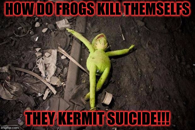 kermit dead | HOW DO FROGS KILL THEMSELFS; THEY KERMIT SUICIDE!!! | image tagged in kermit dead | made w/ Imgflip meme maker