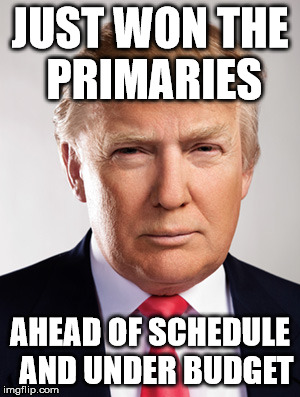 Donald Trump |  JUST WON THE PRIMARIES; AHEAD OF SCHEDULE 
AND UNDER BUDGET | image tagged in donald trump | made w/ Imgflip meme maker