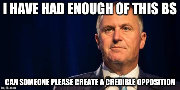 JK has had enough | I HAVE HAD ENOUGH OF THIS BS; CAN SOMEONE PLEASE CREATE A CREDIBLE OPPOSITION | image tagged in nz,politics,national | made w/ Imgflip meme maker