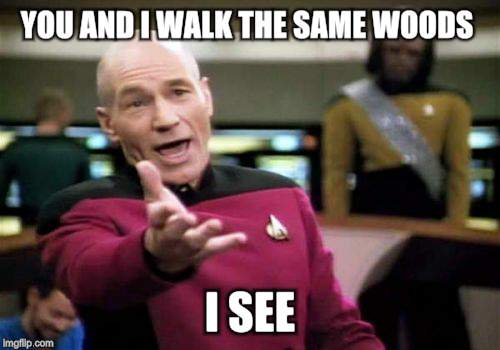 Picard Wtf Meme | YOU AND I WALK THE SAME WOODS I SEE | image tagged in memes,picard wtf | made w/ Imgflip meme maker