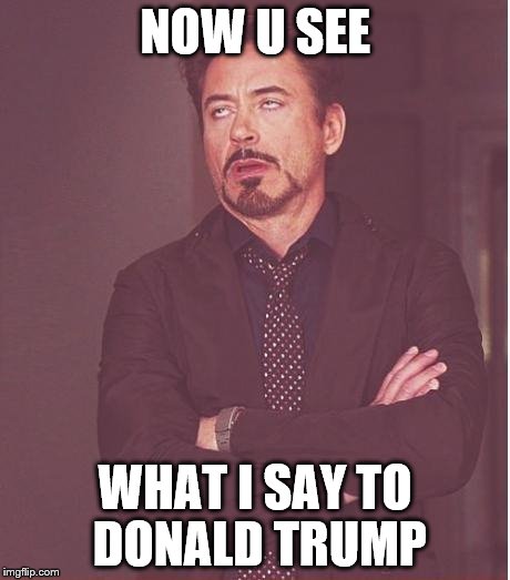 Face You Make Robert Downey Jr Meme | NOW U SEE; WHAT I SAY TO DONALD TRUMP | image tagged in memes,face you make robert downey jr | made w/ Imgflip meme maker