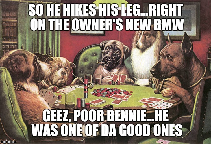 Bennie | SO HE HIKES HIS LEG...RIGHT ON THE OWNER'S NEW BMW; GEEZ, POOR BENNIE...HE WAS ONE OF DA GOOD ONES | image tagged in dogs | made w/ Imgflip meme maker