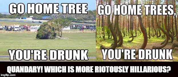 Drunk Trees | QUANDARY! WHICH IS MORE RIOTOUSLY HILLARIOUS? | image tagged in bad memes,tree jokes,trees,drunk | made w/ Imgflip meme maker