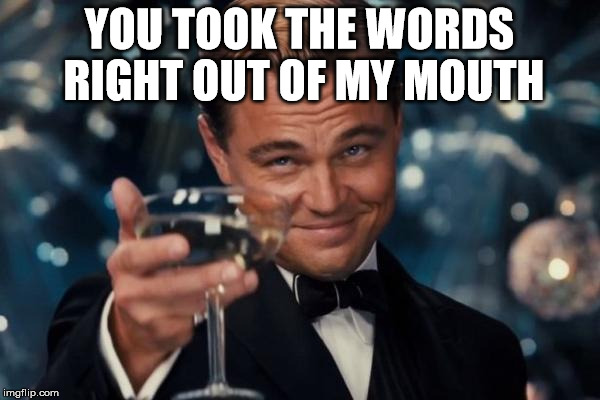 Leonardo Dicaprio Cheers Meme | YOU TOOK THE WORDS RIGHT OUT OF MY MOUTH | image tagged in memes,leonardo dicaprio cheers | made w/ Imgflip meme maker