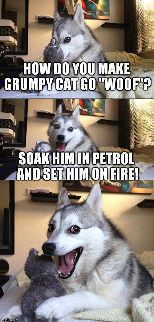 Bad Pun Dog Meme | HOW DO YOU MAKE GRUMPY CAT GO "WOOF"? SOAK HIM IN PETROL AND SET HIM ON FIRE! | image tagged in memes,bad pun dog,grumpy cat,fire,funny,joke | made w/ Imgflip meme maker