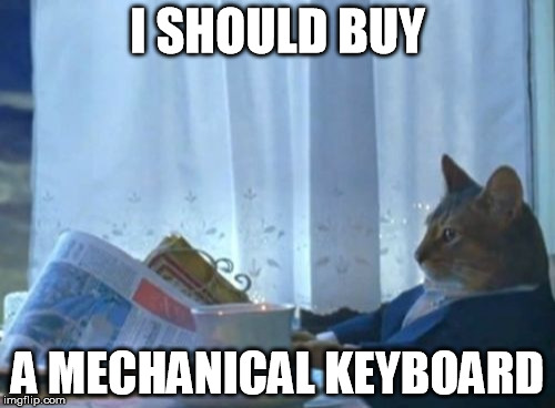 I Should Buy A Boat Cat Meme | I SHOULD BUY; A MECHANICAL KEYBOARD | image tagged in memes,i should buy a boat cat | made w/ Imgflip meme maker