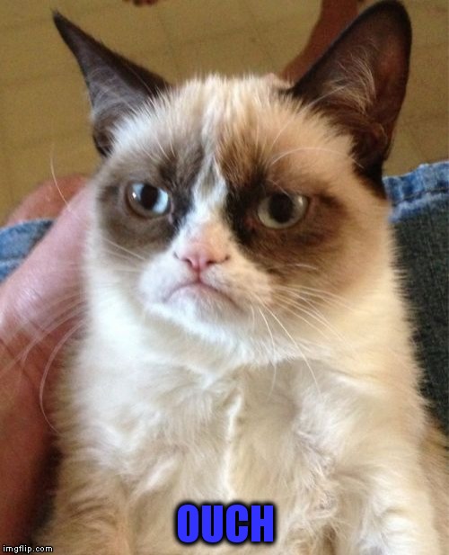 Grumpy Cat Meme | OUCH | image tagged in memes,grumpy cat | made w/ Imgflip meme maker