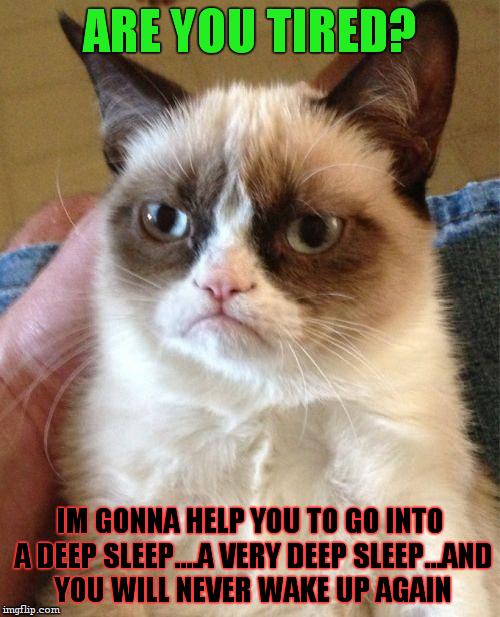 is that a gun he's hiding in his back?oh crap... | ARE YOU TIRED? IM GONNA HELP YOU TO GO INTO A DEEP SLEEP....A VERY DEEP SLEEP...AND YOU WILL NEVER WAKE UP AGAIN | image tagged in memes,grumpy cat,death,kill | made w/ Imgflip meme maker