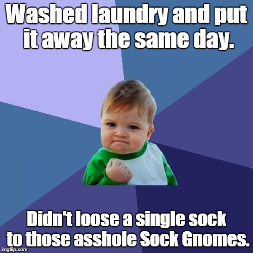 Success Kid | Washed laundry and put it away the same day. Didn't loose a single sock to those asshole Sock Gnomes. | image tagged in memes,success kid | made w/ Imgflip meme maker