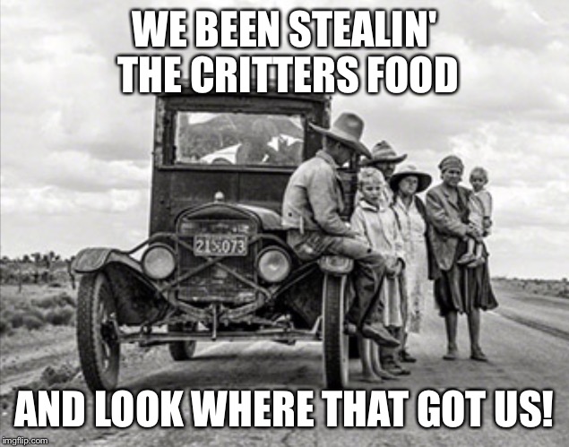 DEPRESSION TRAVELERS | WE BEEN STEALIN' THE CRITTERS FOOD AND LOOK WHERE THAT GOT US! | image tagged in depression travelers | made w/ Imgflip meme maker