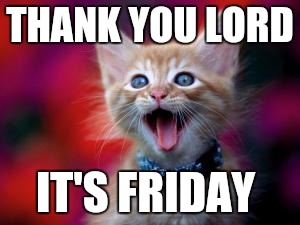 THANK YOU LORD; IT'S FRIDAY | image tagged in 400 likes thank you | made w/ Imgflip meme maker
