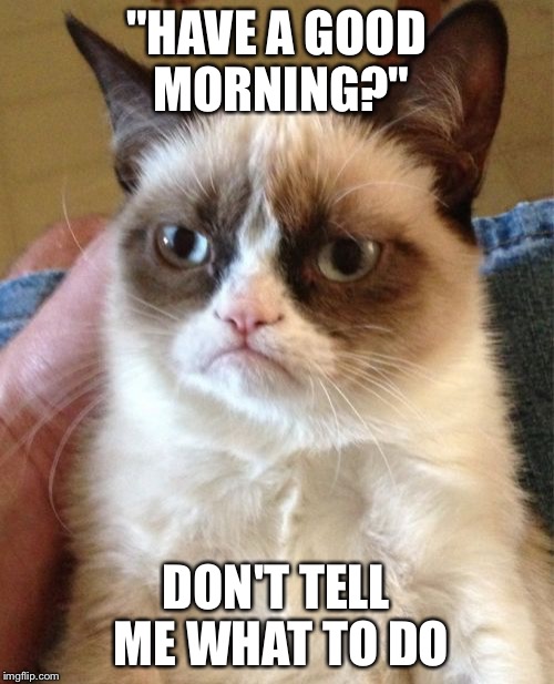 Grumpy Cat | "HAVE A GOOD MORNING?"; DON'T TELL ME WHAT TO DO | image tagged in memes,grumpy cat | made w/ Imgflip meme maker