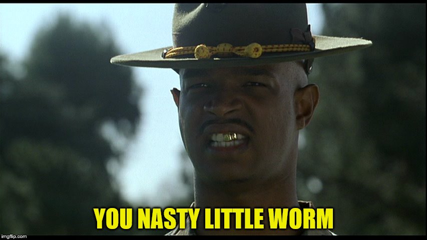 You nasty little worm! | YOU NASTY LITTLE WORM | image tagged in major payne,nasty worm | made w/ Imgflip meme maker