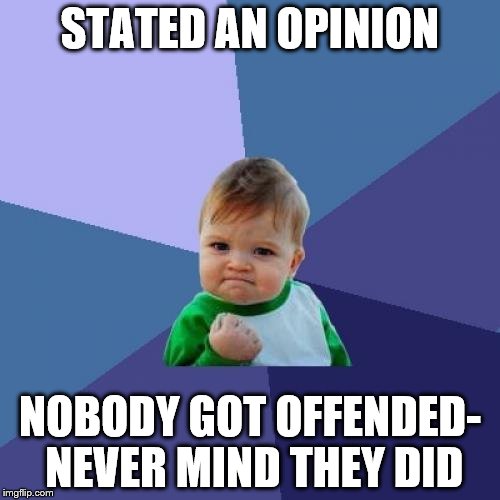 Success Kid | STATED AN OPINION; NOBODY GOT OFFENDED- NEVER MIND THEY DID | image tagged in memes,success kid | made w/ Imgflip meme maker