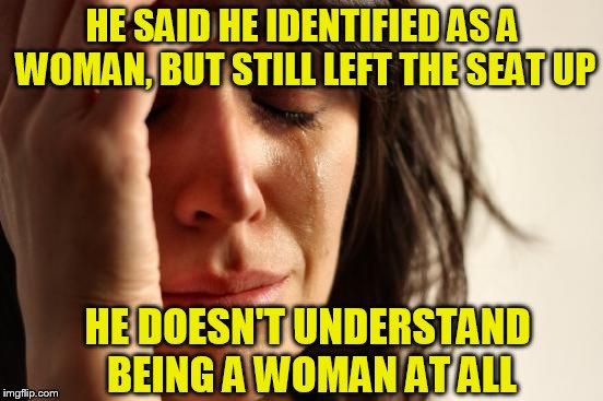 First World Problems, They Just Keep Coming | HE SAID HE IDENTIFIED AS A WOMAN, BUT STILL LEFT THE SEAT UP; HE DOESN'T UNDERSTAND BEING A WOMAN AT ALL | image tagged in memes,first world problems | made w/ Imgflip meme maker