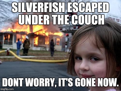 fire girl | SILVERFISH ESCAPED UNDER THE COUCH; DONT WORRY, IT'S GONE NOW. | image tagged in fire girl | made w/ Imgflip meme maker