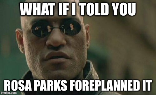 Matrix Morpheus Meme | WHAT IF I TOLD YOU ROSA PARKS FOREPLANNED IT | image tagged in memes,matrix morpheus | made w/ Imgflip meme maker
