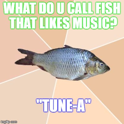 Wrong Place Tuna | WHAT DO U CALL FISH THAT LIKES MUSIC? "TUNE-A" | image tagged in wrong place tuna | made w/ Imgflip meme maker