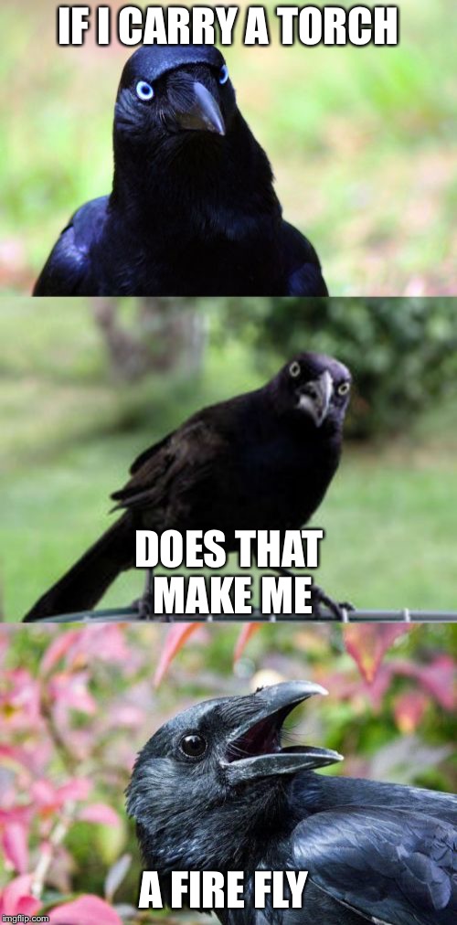 bad pun crow | IF I CARRY A TORCH; DOES THAT MAKE ME; A FIRE FLY | image tagged in bad pun crow | made w/ Imgflip meme maker
