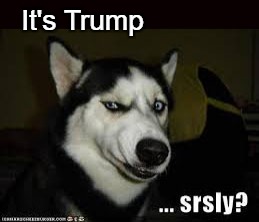 It's Trump Srsly | It's Trump | image tagged in trump,memes,are you serious,politics,dog | made w/ Imgflip meme maker