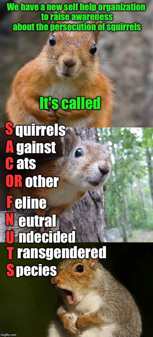 Rodents can use acorn-yms too!!!
   And yes, I know it's acronym ;)  | We have a new self help organization to raise awareness about the persecution of squirrels; It's called; quirrels; S; gainst; A; C; ats; other; OR; eline; F; eutral; N; ndecided; U; T; ransgendered; pecies; S | image tagged in bad pun squirrel,memes,funny,protesters,all lives matter,transgender | made w/ Imgflip meme maker