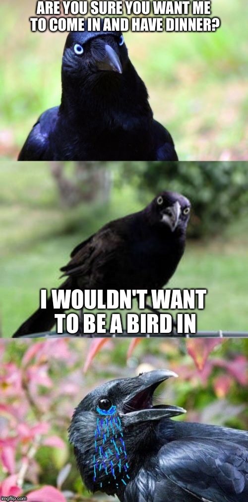 Bad Pun Crow Crying | ARE YOU SURE YOU WANT ME TO COME IN AND HAVE DINNER? I WOULDN'T WANT TO BE A BIRD IN | image tagged in bad pun crow crying | made w/ Imgflip meme maker