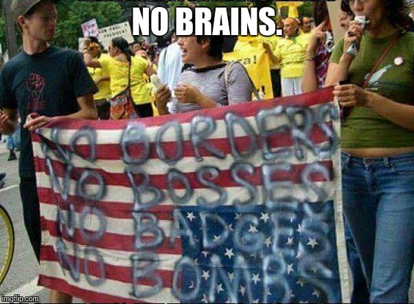Brainless. | NO BRAINS. | image tagged in liberals,memes,funny | made w/ Imgflip meme maker