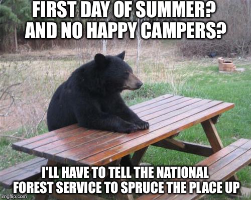 Bad Luck Bear | FIRST DAY OF SUMMER? AND NO HAPPY CAMPERS? I'LL HAVE TO TELL THE NATIONAL FOREST SERVICE TO SPRUCE THE PLACE UP | image tagged in memes,bad luck bear | made w/ Imgflip meme maker